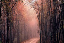 马德里竞技意外出局，欧冠夺冠梦碎