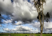 卡迪夫城客场告捷，连续三轮取胜