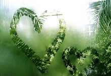 步行者拒绝败北！球员斗志昂扬，力争更好成绩