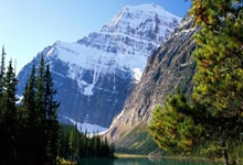 阿森纳客场-负利兹联，遭遇失利