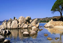 泰国女足队参加亚足联精英赛